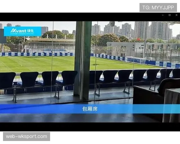 欧足联将实施新安全准则，多特蒙德南看台站席需进行改造